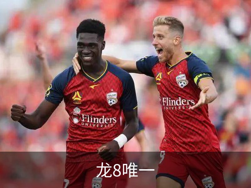 关于龙8唯一